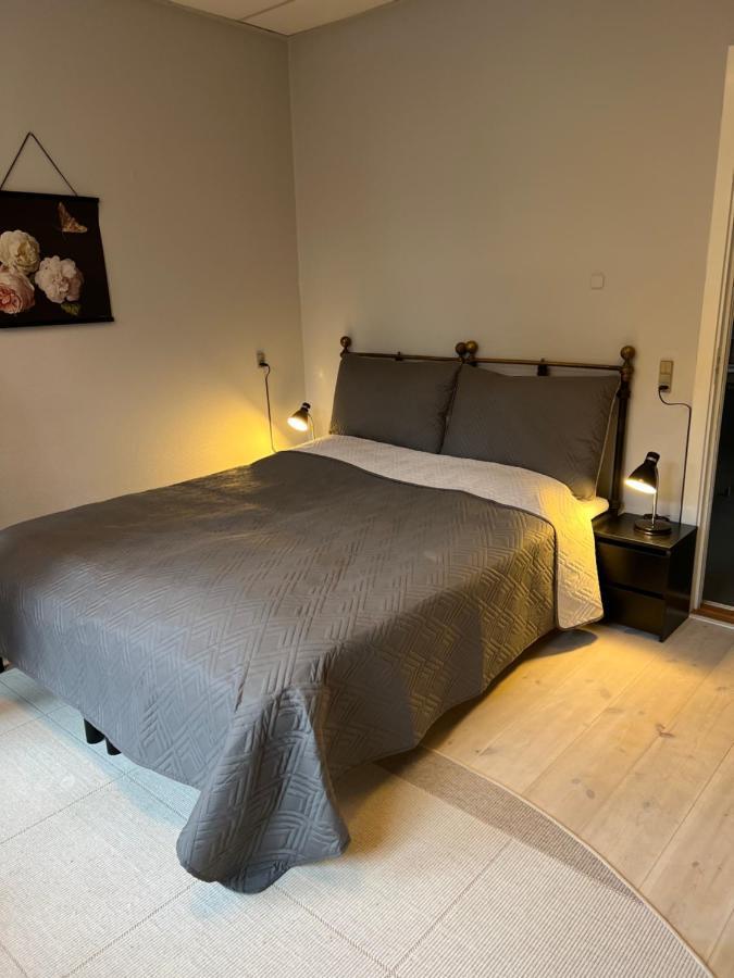 مبيت وإفطار Apothekergaarden Stege Stuen Mod Gardhaven المظهر الخارجي الصورة